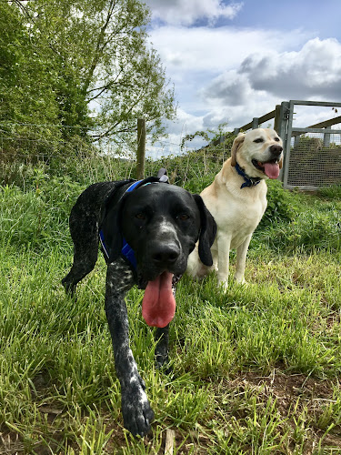 14253002249456848583