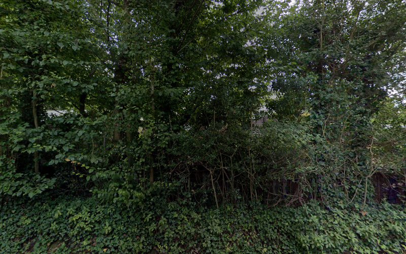 174361131367ed65b11a636