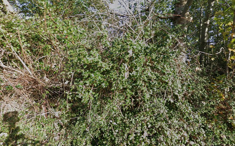 174362025267ed889ca5ba8