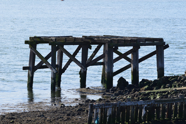 DSC_0726