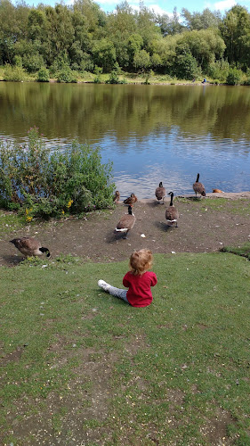 IMG_20170716_142734625