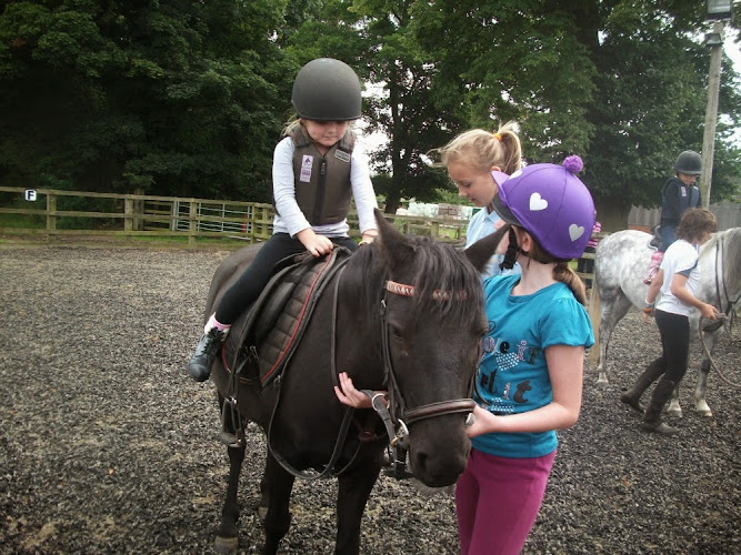 Lead rein lesson2