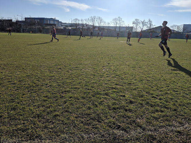 MVIMG_20190203_103638