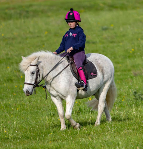 pony_hacking_